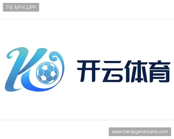 开云体育官方下载：安全下载流程详解，避免假冒软件带来的风险与损失