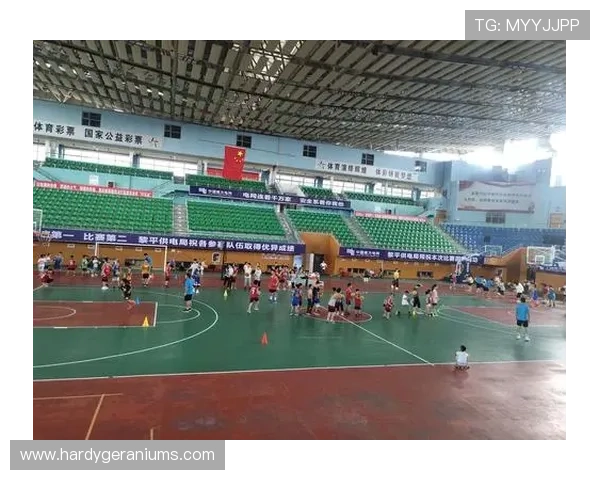 乐动体育网页登录流程详解让新手用户轻松掌握登录步骤快速进入精彩比赛