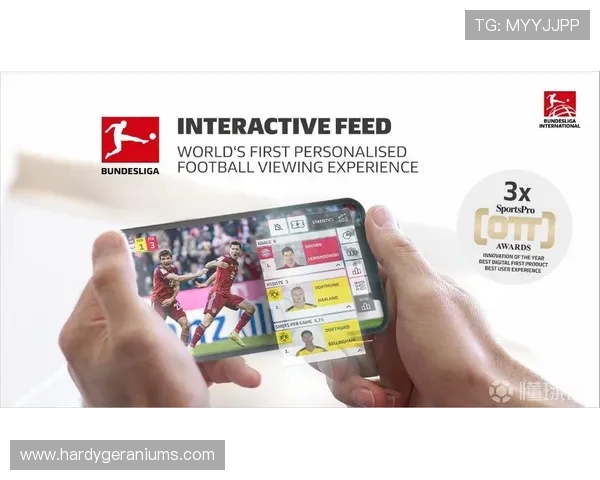 半岛体育在线官网的特色功能介绍，帮助用户提升体育观赛体验的实用指南