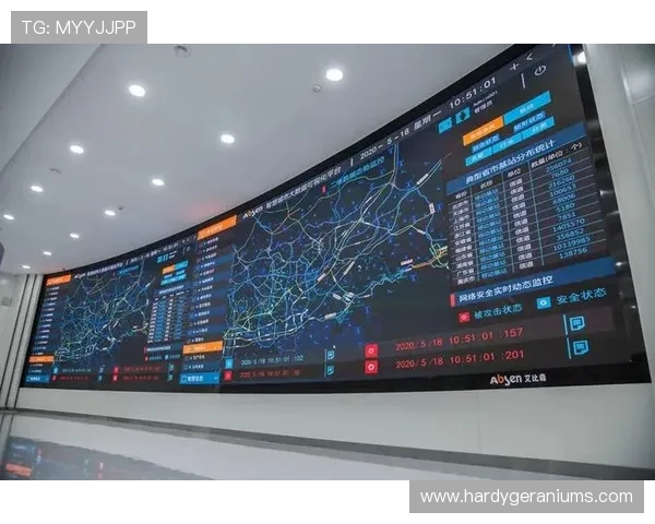 万达体育推动体育产业数字化转型的成功案例与行业启示