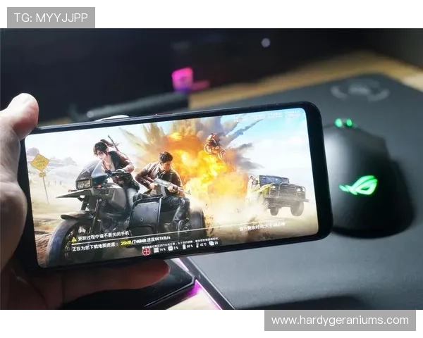 优发入口全面优化,提升游戏加载速度和操作流畅度,享受极致娱乐体验 优发入口全面优化,提升游戏加载速度和操作流畅度,享受极致娱乐体验