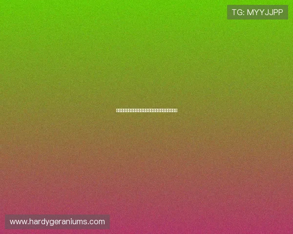 大发体育投注攻略与技巧分享帮助新手快速提升投注胜率