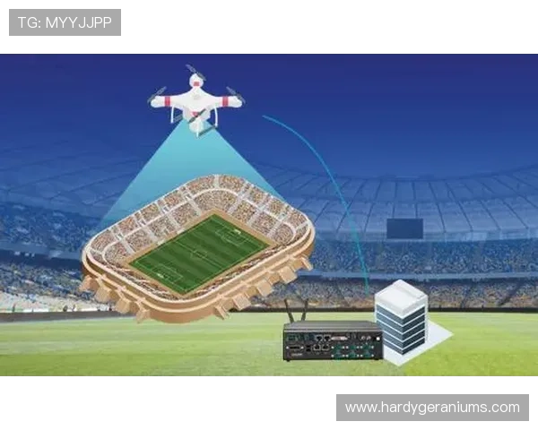 完美体育网址的安全性分析及用户隐私保护措施详解