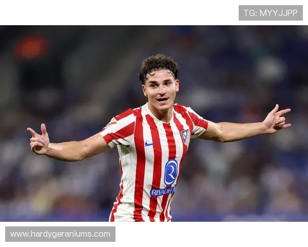 开云体育直播:高清流畅的体育赛事在线观看体验分享