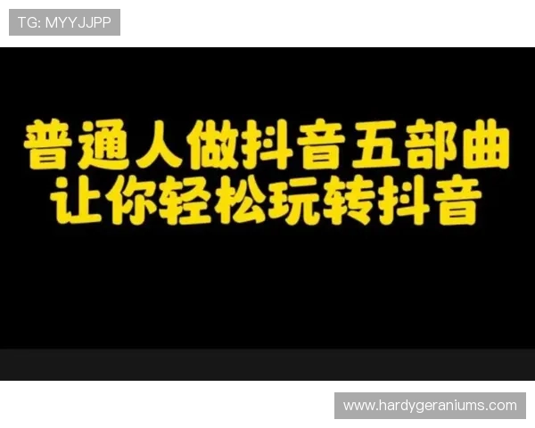 开云APP账号注册与登录详细流程指导让新手玩家轻松开启游戏之旅
