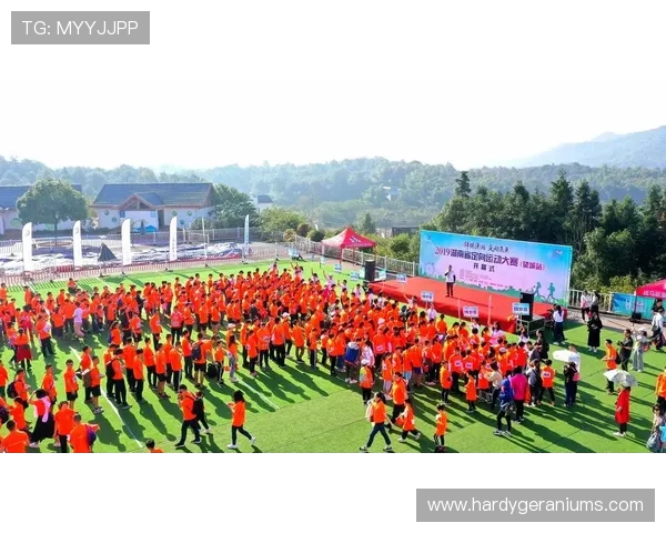 快鱼体育打造智能体育装备,提升运动体验实现科技与体育的完美结合 快鱼体育打造智能体育装备,提升运动体验实现科技与体育的完美结合