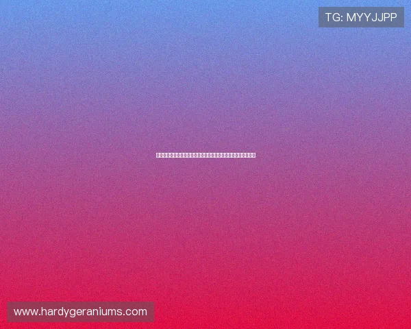 皇冠娱乐客服服务全方位提升用户体验解决游戏中遇到的各种问题 皇冠娱乐客服服务全方位提升用户体验解决游戏中遇到的各种问题