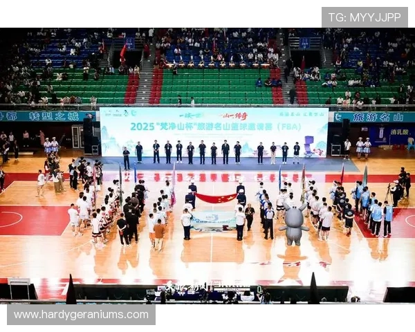 稳定可靠的333体育备用网址平台，助你轻松畅享各种体育赛事的精彩瞬间