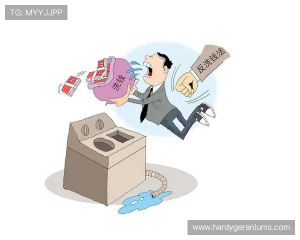 B体育国际开户后如何快速进行资金存取及提升投注体验的实用技巧