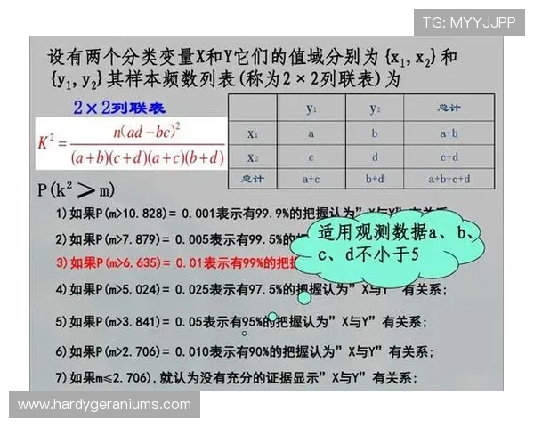 全面解析B体育真人手机版的安全性与稳定性保障措施