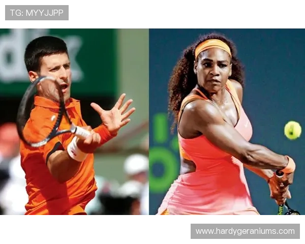 易发体育让你轻松掌握最新体育资讯，全面提升你的体育知识水平