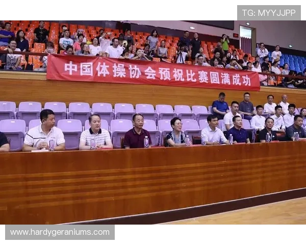 赛博体育娱乐平台的技术支持与系统稳定性分析，确保每场比赛顺利进行