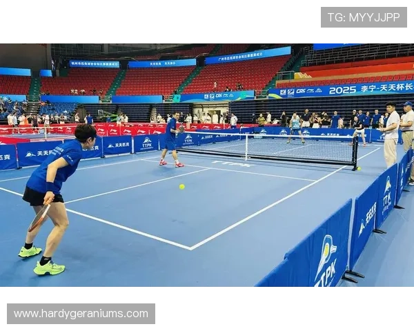 风云体育国际官网入口：常见问题解答与技术支持服务全方位覆盖