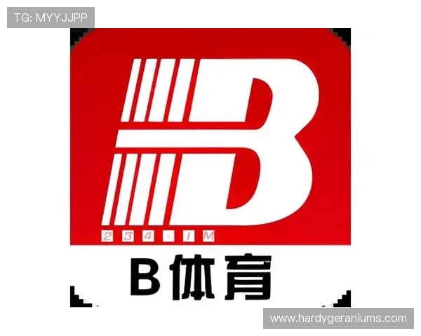 B体育登录入口常见问题及解决方案，帮助新手玩家快速掌握登录操作技巧