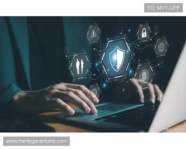 v体育在线官网安全保障措施，保障用户个人信息与资金安全的全面策略