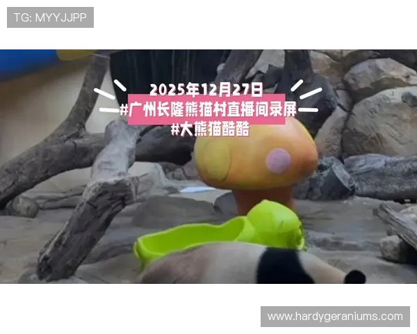利用熊猫体育直播在线直播平台实现多屏互动观看体育赛事 利用熊猫体育直播在线直播平台实现多屏互动观看体育赛事