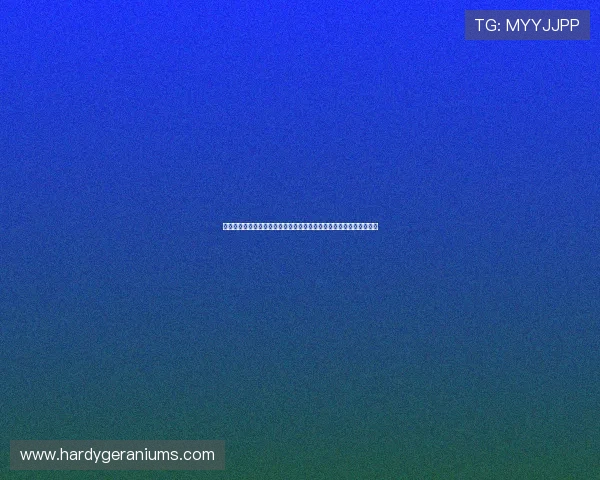 沙特对阵乌拉圭训练情况全景报道：球队备战策略与核心球员表现详解