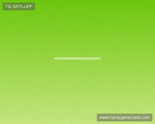 绿茵直播体育在线观看足球比赛的详细操作指南,帮助新手快速上手享受高清直播 绿茵直播体育在线观看足球比赛的详细操作指南,帮助新手快速上手享受高清直播