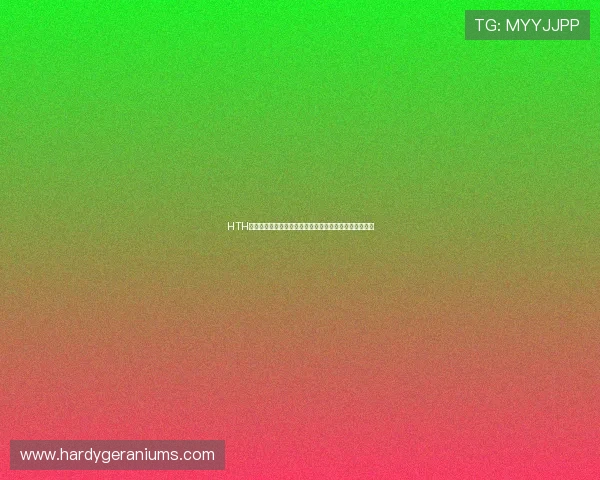HTH体育真人如何实现高效的资金安全与便捷的充值提现流程 HTH体育真人如何实现高效的资金安全与便捷的充值提现流程