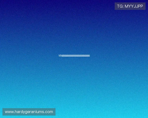 V9体育平台如何选择最适合您的体育赛事投注方案详解