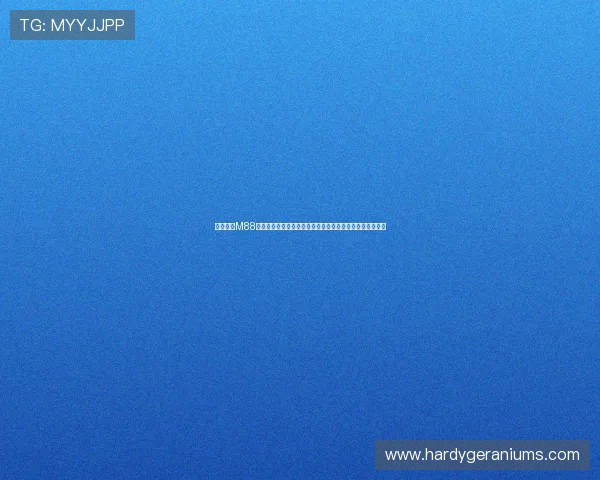 全面解析M88体育全站登录流程,解决登录难题提升用户体验的实用指南 全面解析M88体育全站登录流程,解决登录难题提升用户体验的实用指南